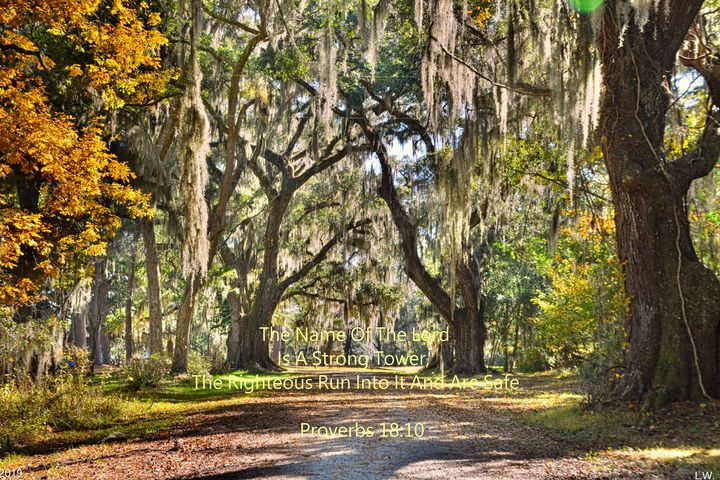 Proverbs 18:10 Old House Plantation - Lisa Wooten Photography