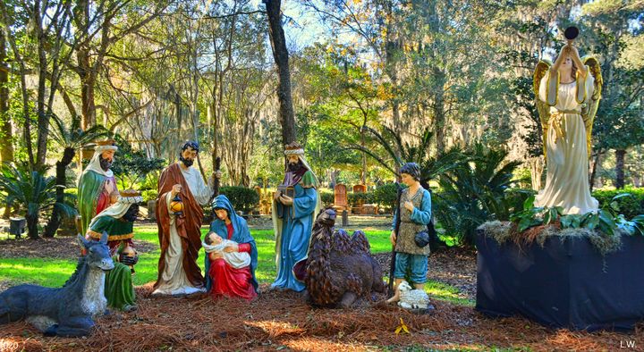 Nativity Scene At Christ Church St. - Lisa Wooten Photography