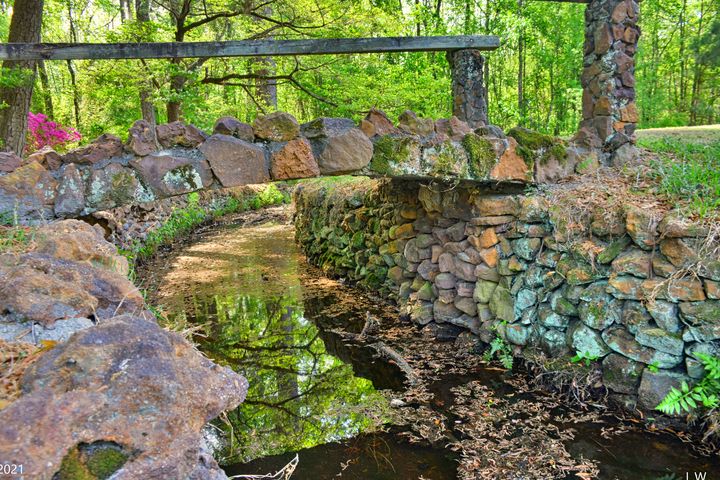 Lee State Park South Carolina Stone - Lisa Wooten Photography