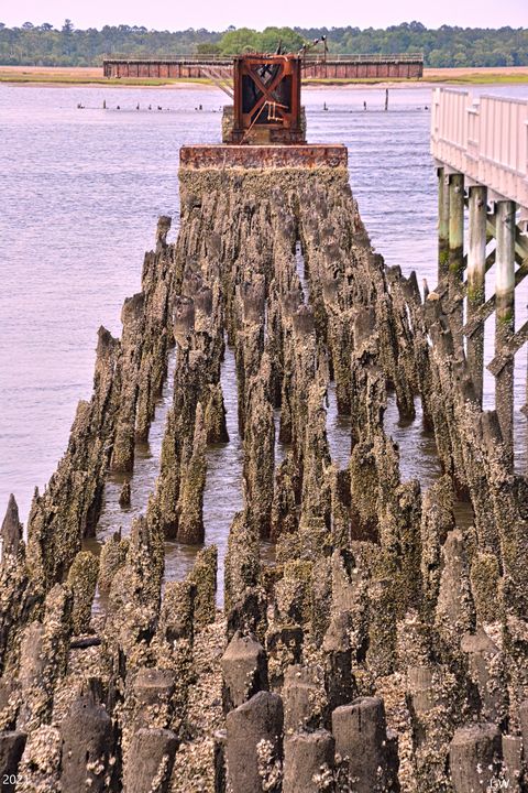 Old Railroad Trestle Pilings - Lisa Wooten Photography