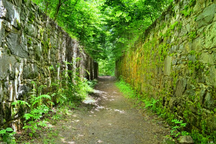 The Stone Walls At Landsford Canal - Lisa Wooten Photography