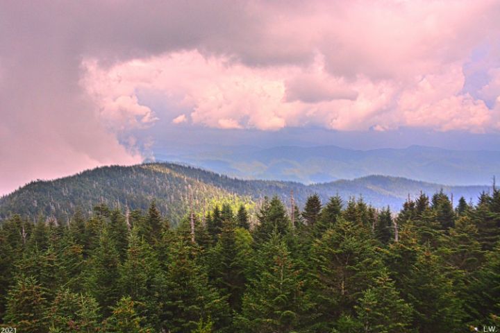 The Mountain View From Clingmans Dom - Lisa Wooten Photography