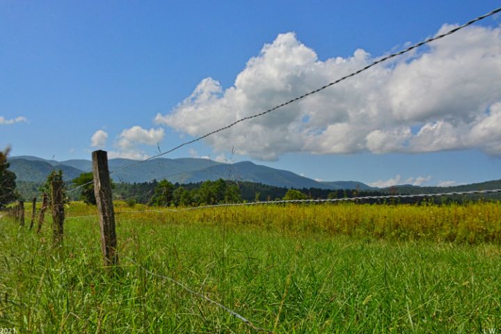 The Great Smoky Mountains From Cades - Lisa Wooten Photography