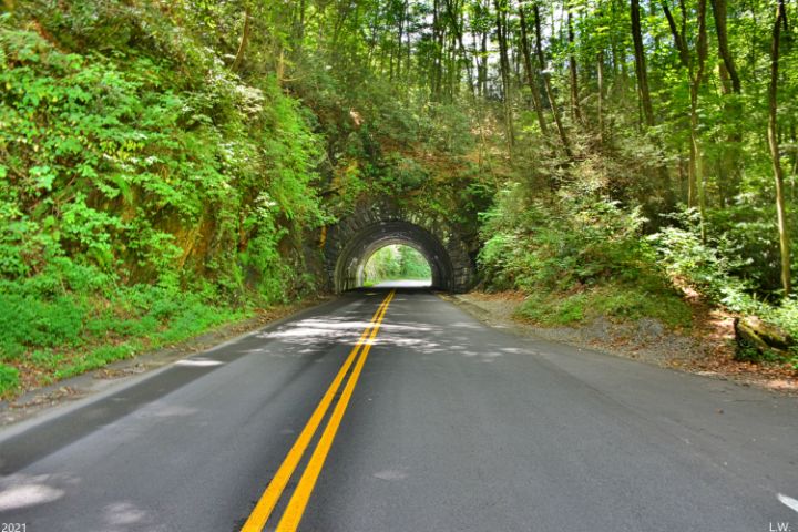 The Great Smoky Mountains Tunnel - Lisa Wooten Photography