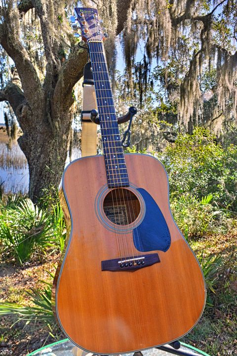 Making Music In Paradise Vertical - Lisa Wooten Photography