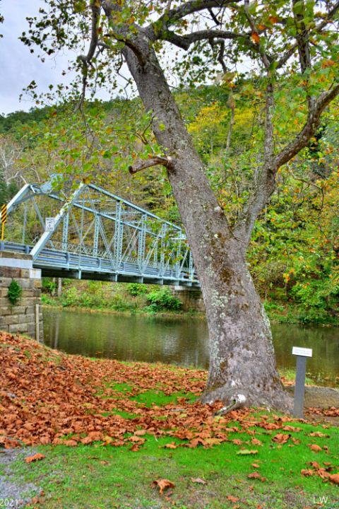 The Bridge At Beaver Creek State Par - Lisa Wooten Photography