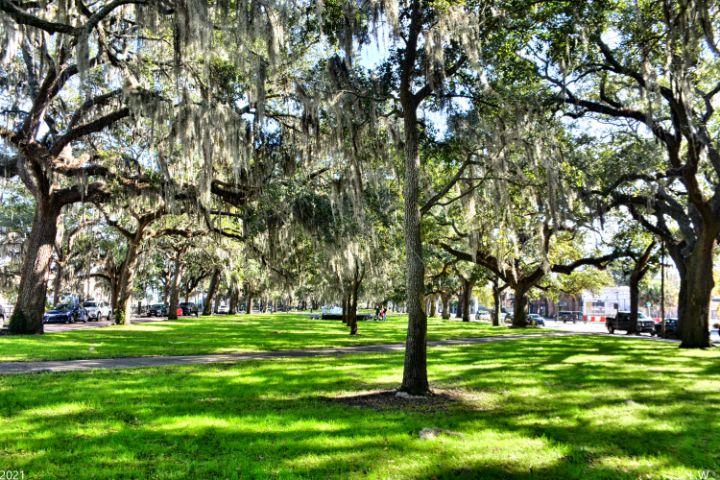 Emmet Park in Savannah Georgia - Lisa Wooten Photography