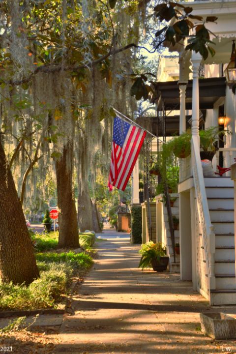 American Flag Flying In Savannah Geo - Lisa Wooten Photography