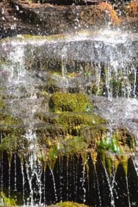 Mossy Waterfall Vertical