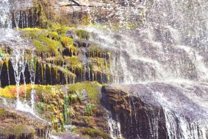 Waterfall And Moss