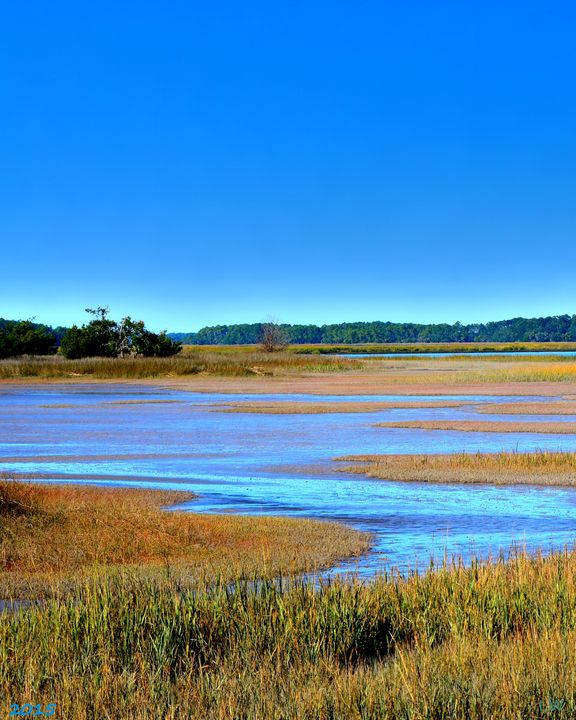South Carolina Lowcountry Hdr Vertic - Lisa Wooten Photography
