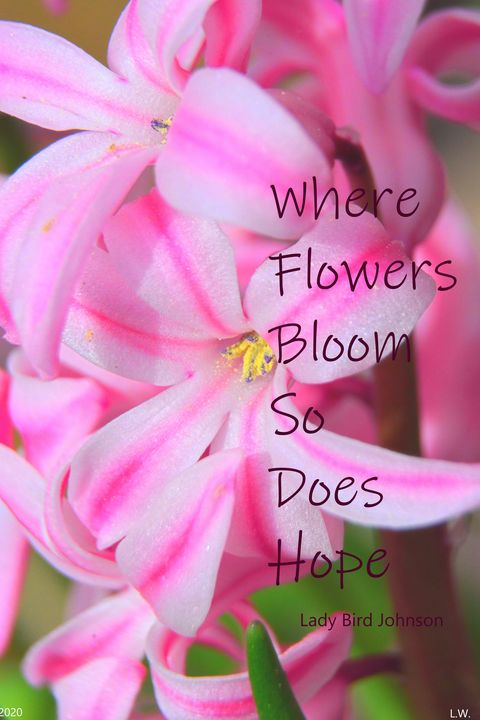 Where Flowers Bloom So Does Hope - Lisa Wooten Photography