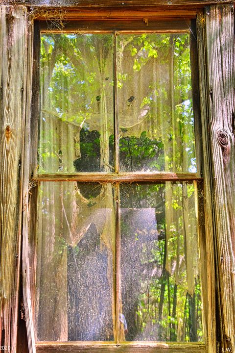 Looking In Or Looking Out - Lisa Wooten Photography