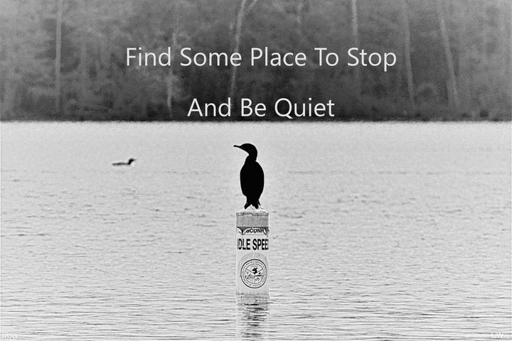 Find Some Place To Stop And Be Quiet - Lisa Wooten Photography