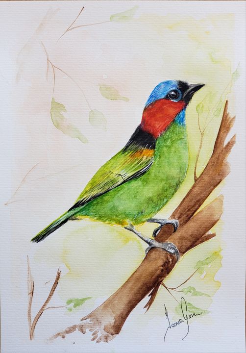 Color pencil art - Hems - Drawings & Illustration, Animals, Birds, & Fish,  Birds, Kingfisher - ArtPal