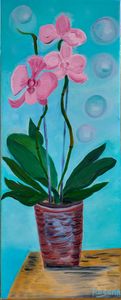Bubble Orchid