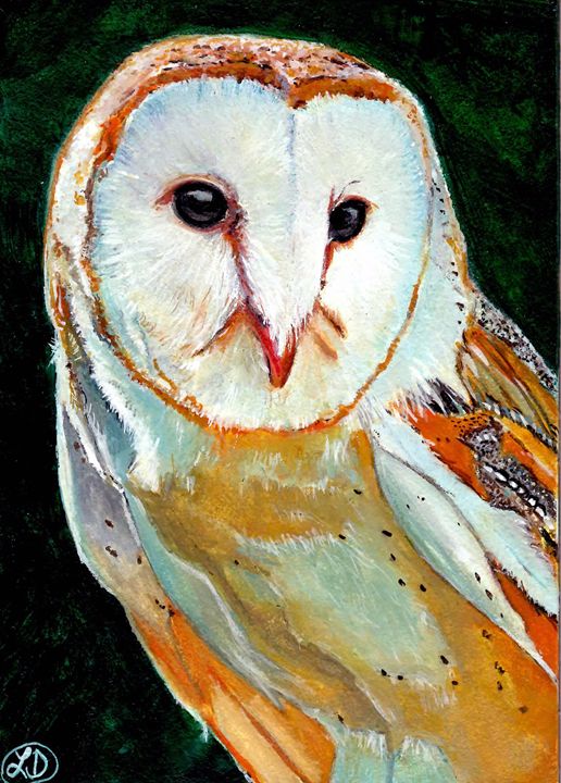 BARN OWL - Creations by Laur - Paintings & Prints, Animals, Birds ...