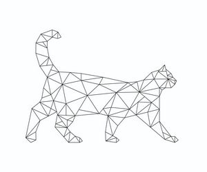 Geometric cat