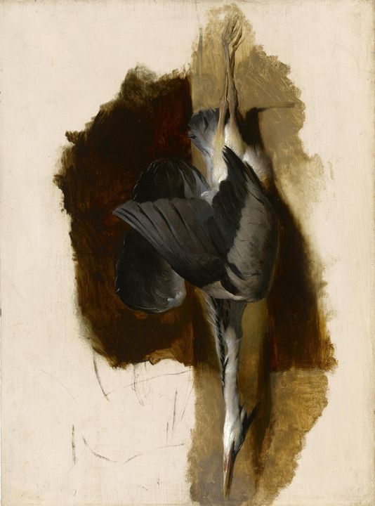 Edwin Landseer~Study of a Dead Heron - Old master