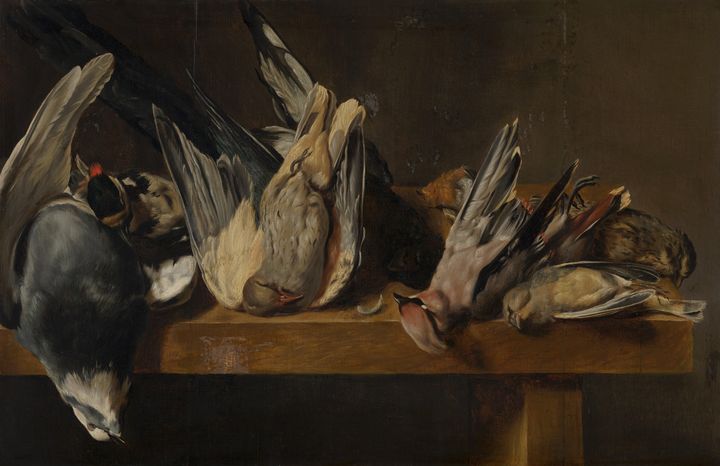 Elias Vonck~Dead Birds - Old master