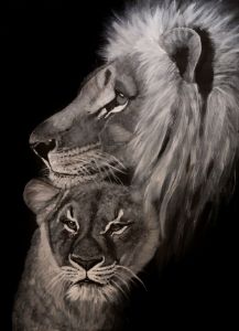 LIONS LOVE