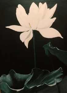 Water lily - Margaret
