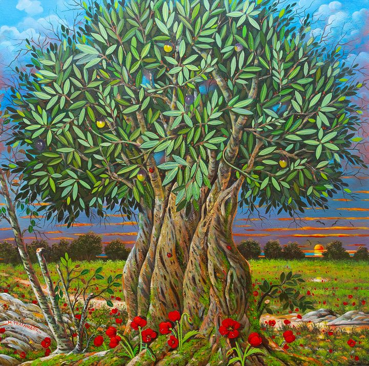 centenarian olive tree - Margaret