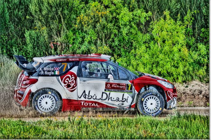Citroen DSR3 WRC Rally Car - Andrew Hay