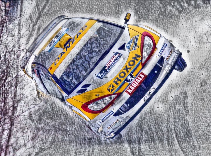Peugeot 206 WRC Rally Car - Andrew Hay - Drawings & Illustration