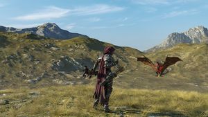 Wind Warrior