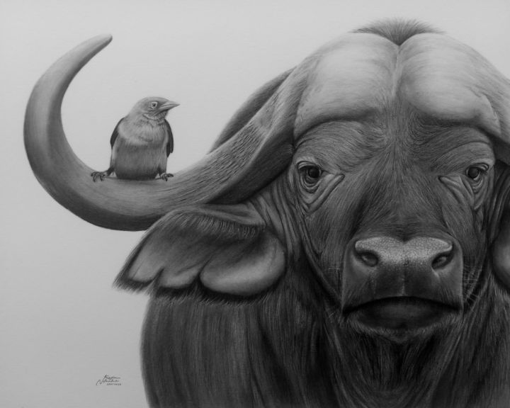Buffalo Sketch Photograph by Mike Gaudaur - Pixels Merch