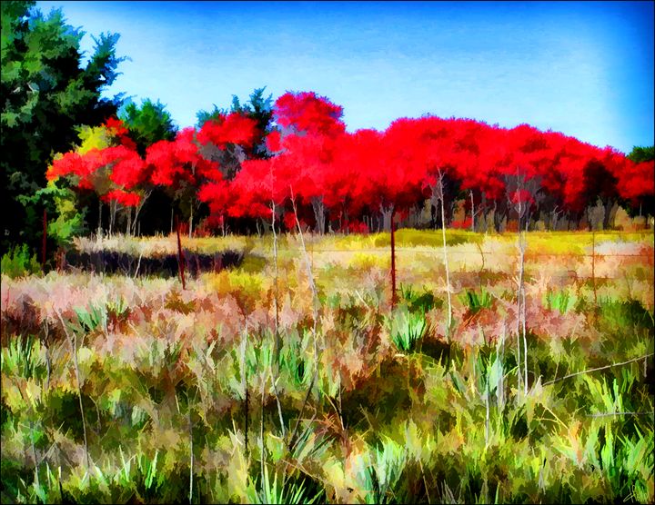 Mother Neff Park - Sumac - Dennis Fehler - Gallery
