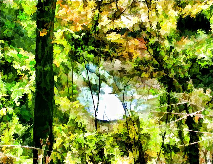 Forest Pond - Dennis Fehler - Gallery