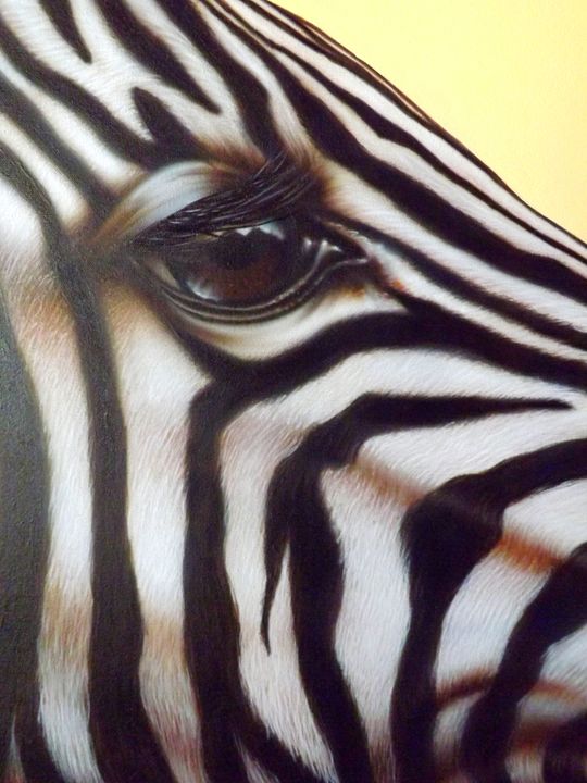Eye of the Zebra - PaintingsByDarren