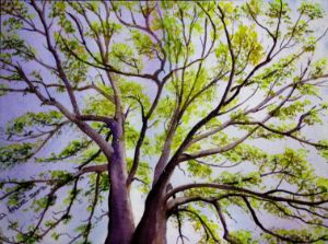 Tree at Dusk - Watercolor - Deborah Arline