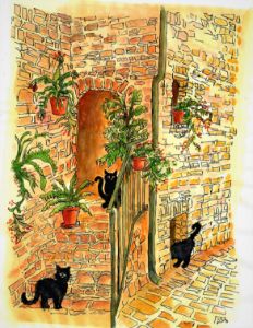 Black Cats In A Stone Alley