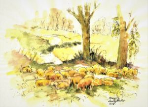 Grazing Sheep In A Hilly Meadow - Don Sylvester