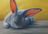 Rabbit Oil Painting