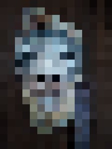 Mask No. 3