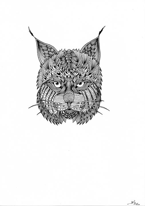 Lynx - Havion.art