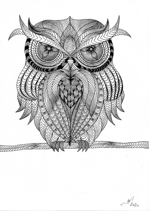 Owl - Havion.art