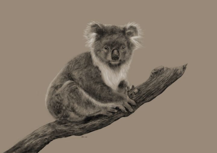 Koala - Art by Dino - Paintings & Prints, Animals, Birds, & Fish, Other  Animals, Birds, & Fish - ArtPal