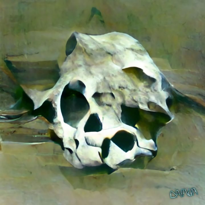 Skull 0.02 - DREAMS|of|DAMUN