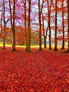 Beautiful Colours Of Autumn