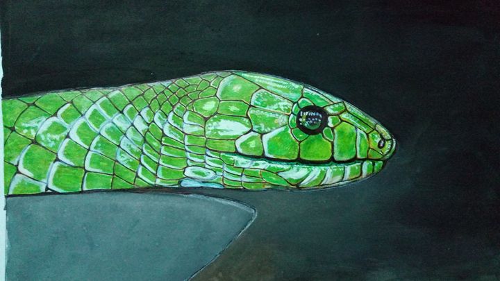 Realistic Snake Drawing PNG Transparent Images Free Download | Vector Files  | Pngtree