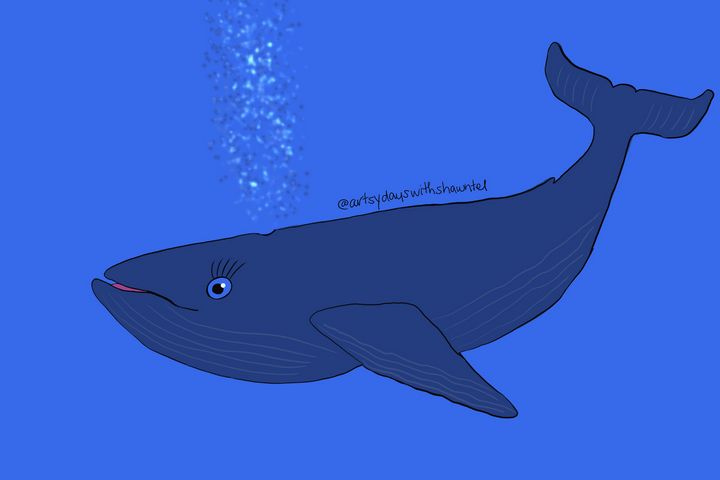 Blue Whale - Artsy Days With Shawntel