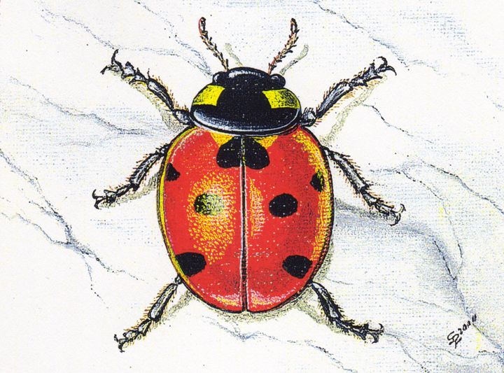 Miniature Lady Bug