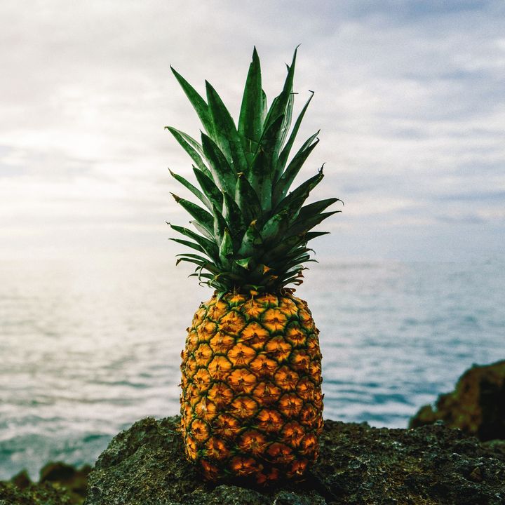 Pineapple and ocean - Creative Photography