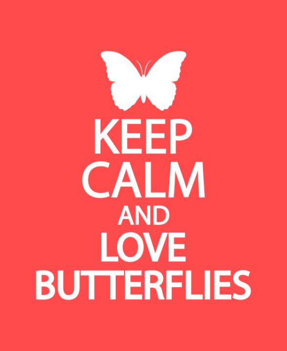 Keep calm and love butterflies - Creative Photography