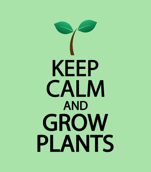 Keep calm and grow plants - Creative Photography